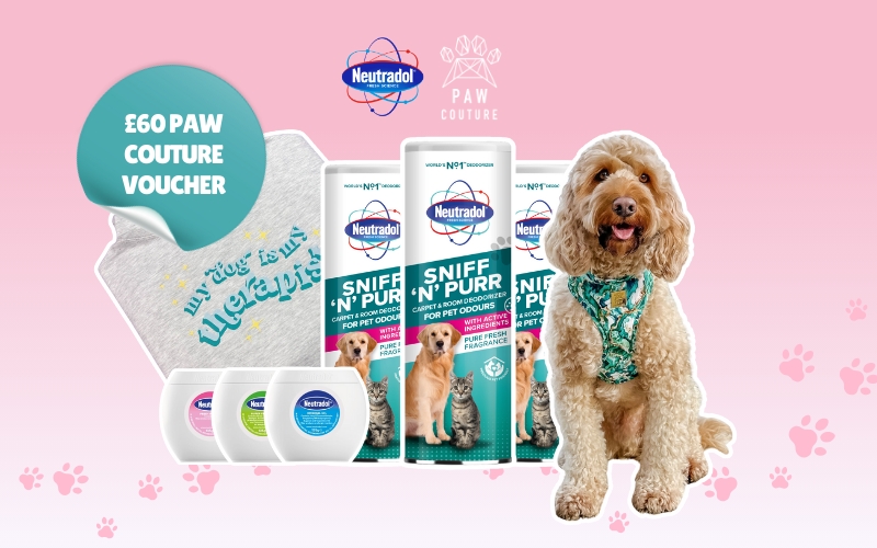 Paw-Couture-x-Neutradol